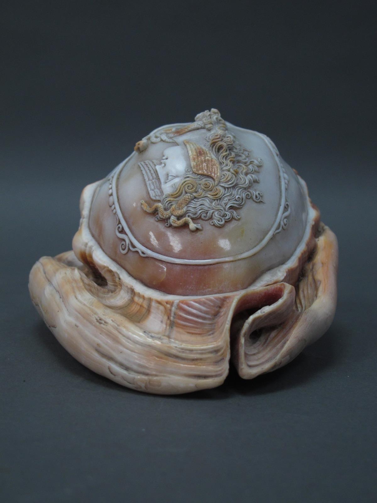 A Late XIX Century Cameo Carved Conch Shell, decorated with a portrait of Medusa, 14cm long. - Image 7 of 7