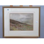 JOHN PEDDER (1850-1929) Sheep in a Highland Landscape, watercolour, signed lower left, 25 x 34cm.