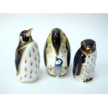 Three Royal Crown Derby Porcelain Paperweights; 'Penguin and Chick', 'Penguin' and 'Rock Hopper