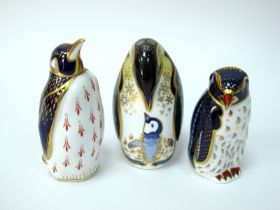 Three Royal Crown Derby Porcelain Paperweights; 'Penguin and Chick', 'Penguin' and 'Rock Hopper