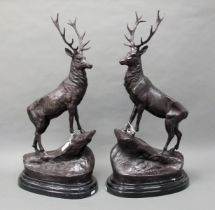 AFTER JULES MOIGNIEZ (1835-1894) A Large Pair of Bronze Stags, signed, raised on black marble bases,
