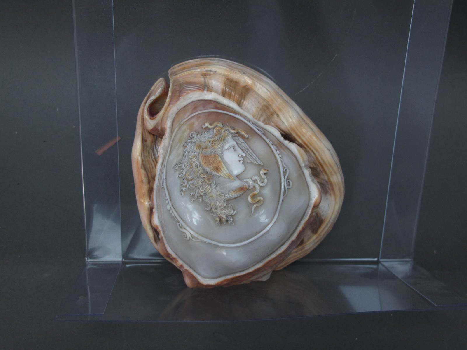 A Late XIX Century Cameo Carved Conch Shell, decorated with a portrait of Medusa, 14cm long. - Image 2 of 7