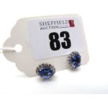 A Pair of Modern Tanzanite and Diamond Cluster Earrings, oval claw set to the centre, within