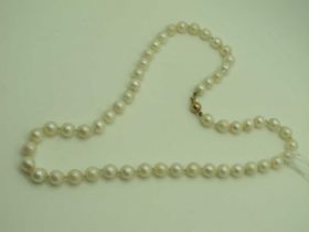 A Modern Uniform Single Strand Pearl Bead Necklace, knotted to 9ct gold ball clasp.