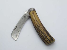 Blackwell Sheffield Flat Brass Bottom Pruner, stag scales, clicks open/close, slight wobble 10cm