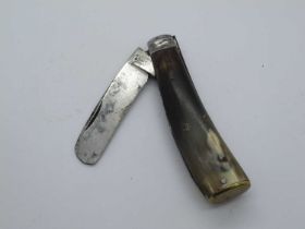 Flat Brass Bottom Pruner, Blackwell and Son, Sheffield, polished horn scales, clicks on open/