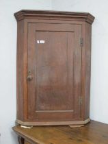 XIX Century Oak Corner Cupboard, with panelled door, concealing shaped inner shelves, 96cm high.