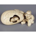 19TH-CENTURY TURTLE IN EGG