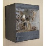 VERNACULAR BIRD CAGE