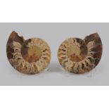 AMMONITE CUT PAIR