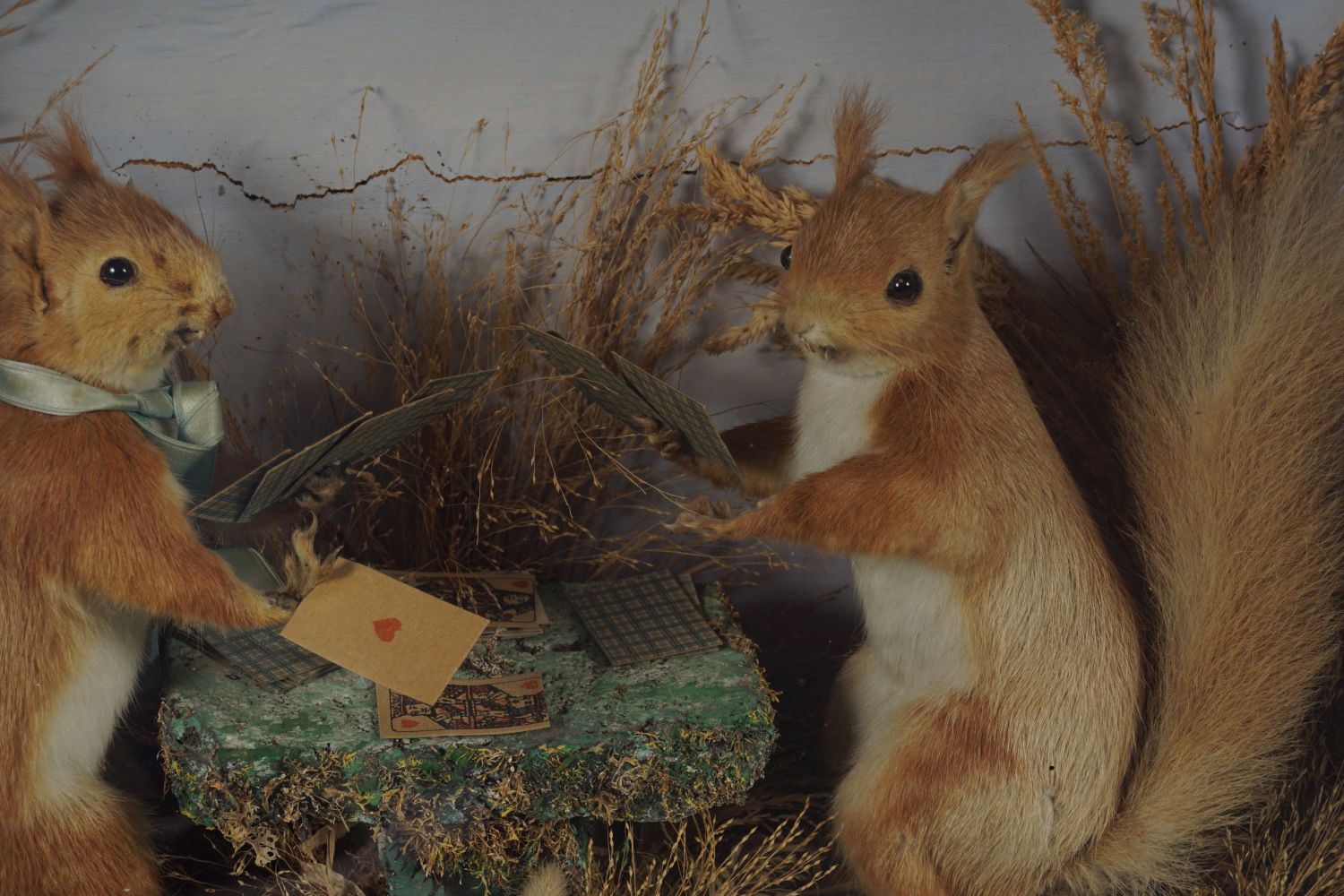 TAXIDERMY: 2 SQUIRRELS PLAYING CARDS - Image 3 of 3