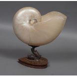 MOTHER O'PEARL NAUTILUS SHELL