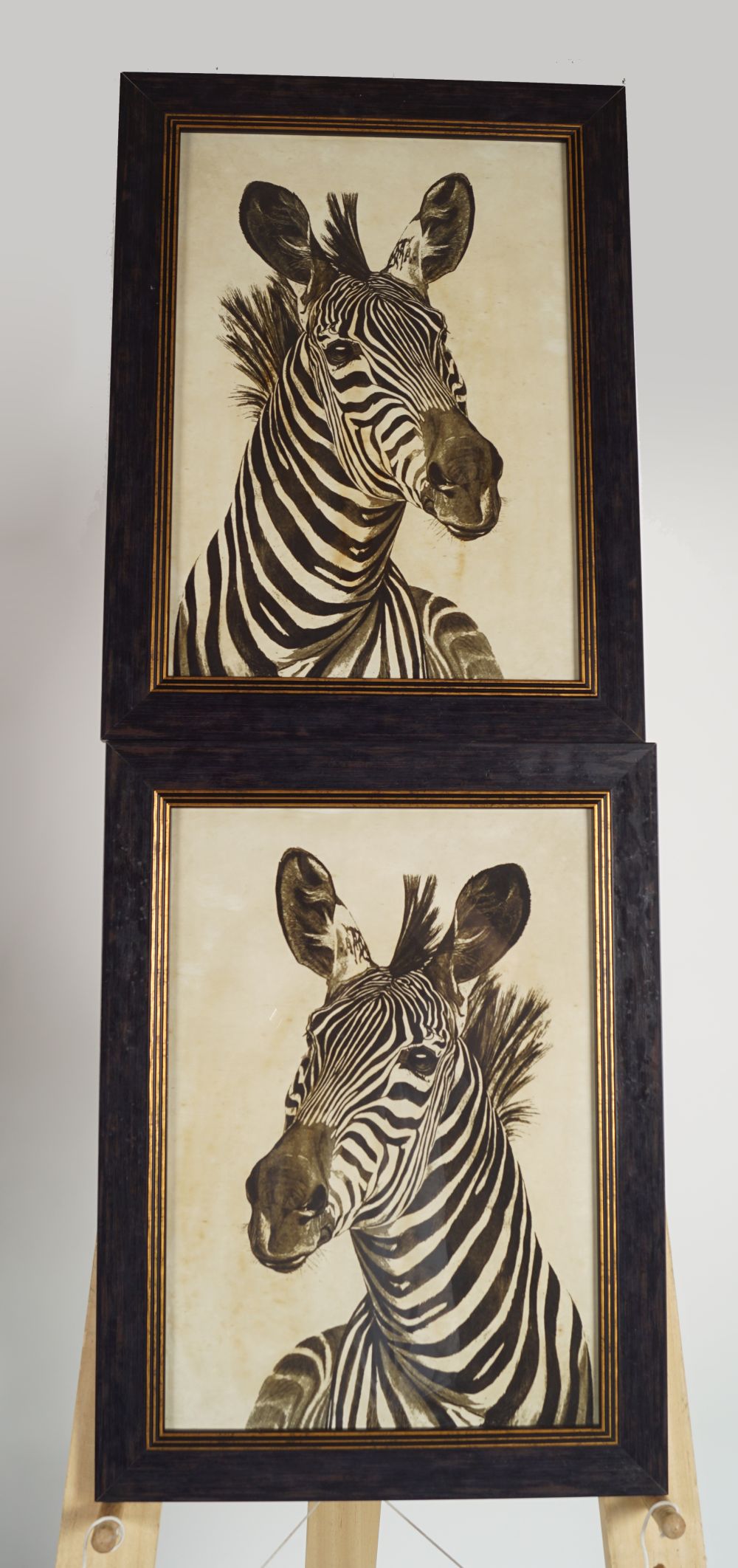 PAIR OF ZOOLOGICAL PRINTS - Image 2 of 2