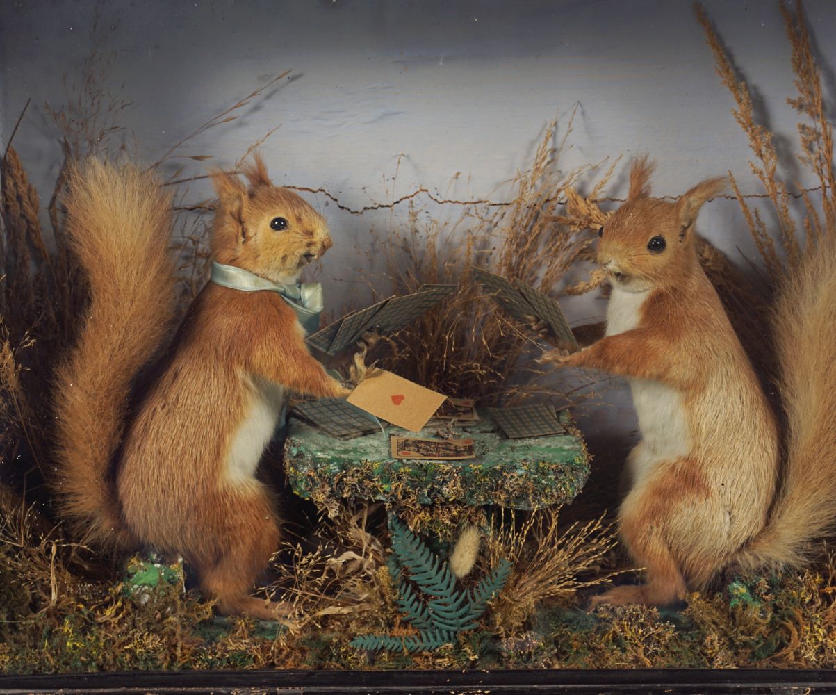 TAXIDERMY: 2 SQUIRRELS PLAYING CARDS - Image 2 of 3