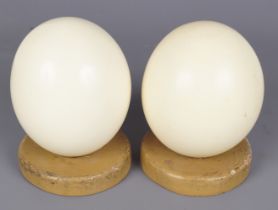 2 OSTRICH EGGS