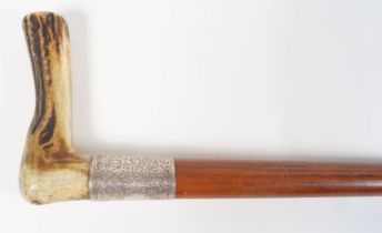 19TH-CENTURY FRUITWOOD WALKING STICK