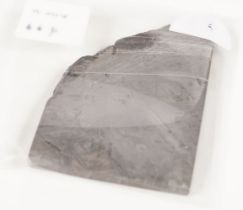 METEORITE SLICE