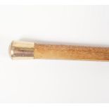 BIRDSEYE MAPLE WALKING STICK