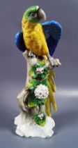 SITZENDORF PORCELAIN POLYCHROME PARROT