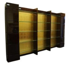 IMPORTANT SMANIA ITALIAN DESIGN DISPLAY CASE