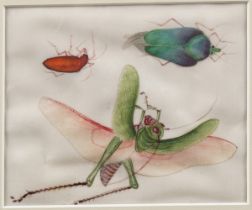 SET OF 12 ENTOMOLOGICAL PRINTS