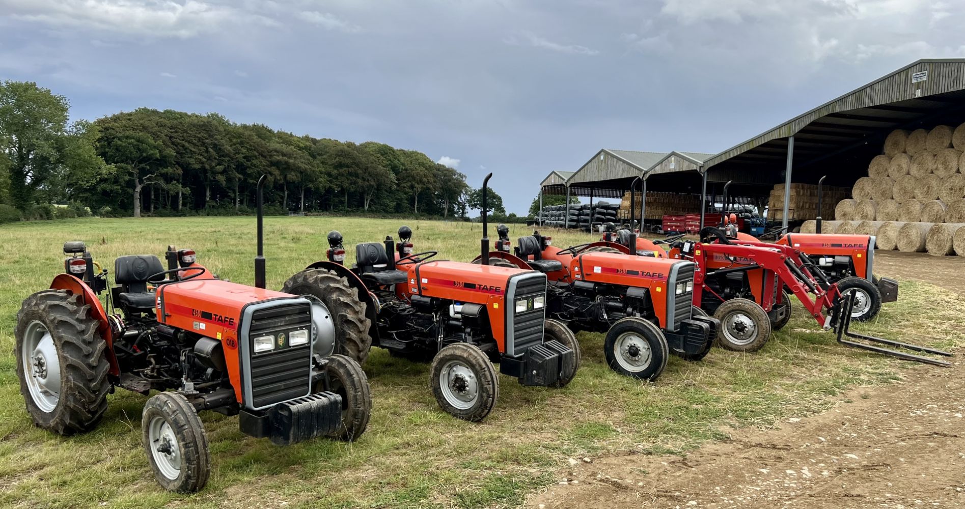 Complete Farm Dispersal - Church Farm, Stretton