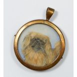 A 19th century watercolour on ivory portrait of a Pekinese dog, bears label to verso "Minnie Fox,