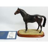 A Border Fine Arts Group 'Thoroughbred Stallion' limited edition 260/1500 by Anne Wall with