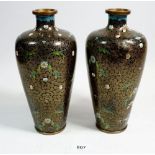 A pair of Meiji Period Japanese cloisonne vases with flowers on a black ground, 24cm