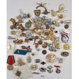 A box of assorted military badges, some reproduction