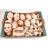 A large quantity of bisque dolls heads