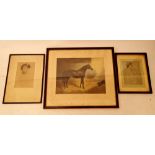 A C Havell - limited edition print of a horse in a stable, signed in pencil, 37 x 51cm and two