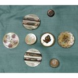 A group of eight antique mother of pearl buttons