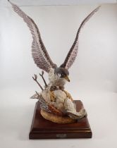 Michael Tandy - limited edition porcelain sculpture of a Peregrine Falcon with Bustard, 25/50,