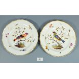 A pair of 19th century Meissen bowls painted birds on branches with floral sprigs and insects to