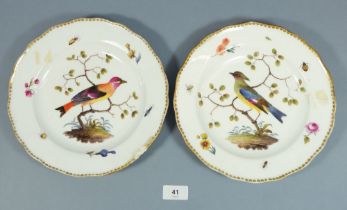 A pair of 19th century Meissen bowls painted birds on branches with floral sprigs and insects to