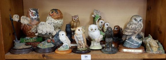 A Welsh Porcelain owl and a quantity of other owls including Leonardo, Border Fine Arts, Aynsley,