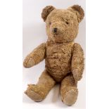 An old gold plush straw filled teddy bear, 36cm tall