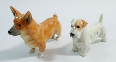 A Royal Worcester Corgi 3242 and a Sealyham Terrier 3028