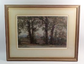 Margaret Lightbody - pastel 'Elms at Nape' forest scene, 25 x 38cm