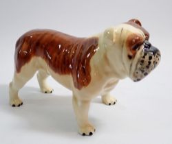 A Beswick large bulldog Basford British Mascot