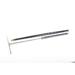 (S58) .320 Victorian Air Cane, two piece black lacquered cane with capped top, blade foresight, V-