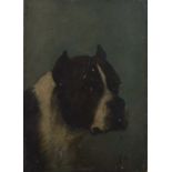 Oil on panel, of a boxer with clipped ears, monogrammed to the bottom right S.G., unframed, 22cm x