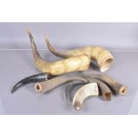 A small selection of Cattle Horns, various sizes