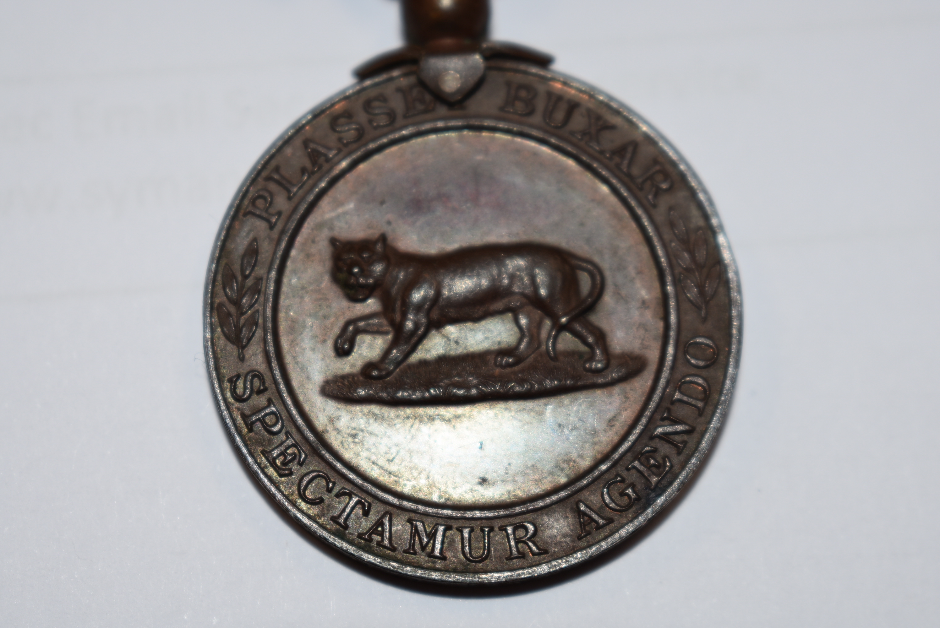 A C.M.G medal group for Lieutenant Colonel Charles Campbell Todd, Royal Dublin Fusiliers, Todd - Image 6 of 10