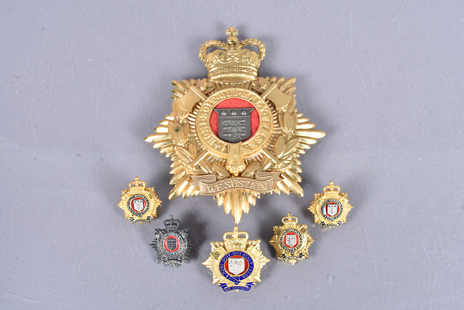 A Royal Logistics Corps Helmet plate, Queen's Crown, together with a small selection of collar and