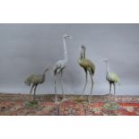 A collection of spelter cranes, two on naturalistic bases, tallest 82 cm, all with wear and