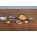 A group of shell patch and trinket boxes, together with other shell pieces, some with hand-painted