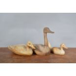 Three 19th century primitive wooden decoy ducks, one hand painted, the largest with a long neck 31cm