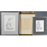 Three framed sketches, comprising a watercolour and pencil sketch of a rabbit, a pencil sketch of